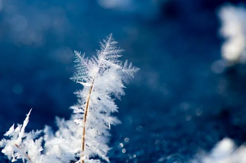 大雪节气出生的宝宝浪漫名字